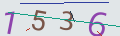 verifycode